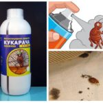 ยา Cucaracha สำหรับ Bedbugs