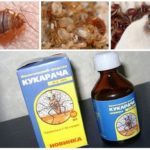 Cucaracha remedy for bedbugs-1