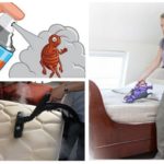 Methods of dealing with bedbugs