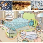 Habitats of bedbugs in the house