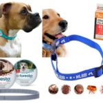 Flea collar for dogs