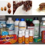 Remedies for bedbugs