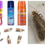 Moth sprays