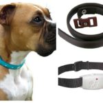 Flea collars