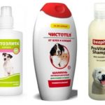 Flea shampoos