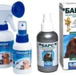 Flea Sprays in Dogs