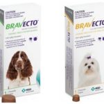 Bravecto tablets