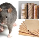 Do rodents gnaw plywood and linoleum