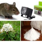 Methods of dealing with mice