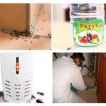 Ways to kill insects