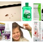 Lice Remedies