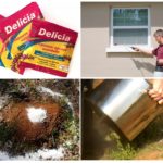 Delicia Powder Applications