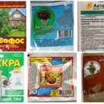 Insecticidal products