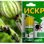 Spark Bio from aphid