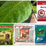 Productes químics tòxics de plagues