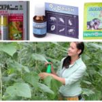 Aphid chemicals