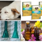 Repel·lents de mosquits per a mascotes