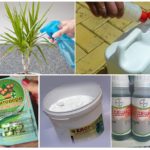 Productes químics de control de plagues