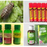 Productes insecticides