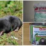 Mole Chemicals