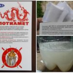 Clotiamet от бръмбар от картофите на Колорадо