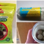 Pastilles de gasos i molses