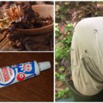 Mosquito cream with clove oil