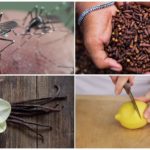 Insect repellent methods