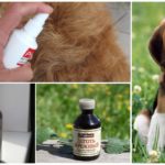 Repellente per zanzare per animali