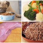 Aliments per a mascotes