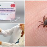 Immunoglobulina contra encefalitis transmesa per paparres