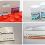 Medicinali per combattere gli acari dell'orecchio