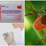 Vaccination against tick-borne encephalitis