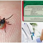 Prevention of tick-borne encephalitis