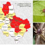 Gefährliche Bereiche für Ticks auf der Karte der Region Moskau