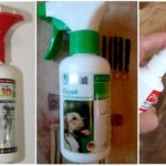 Sprays für Hunde gegen Zecken