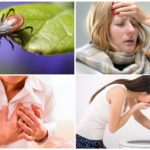 Symptoms of tick-borne encephalitis in adults