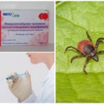 Tick-borne encephalitis immunoglobulin