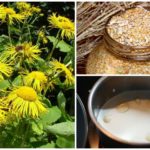 Folk recipes for toxocarosis